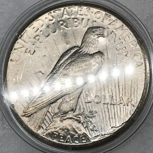 Peace Silver Dollar (5)