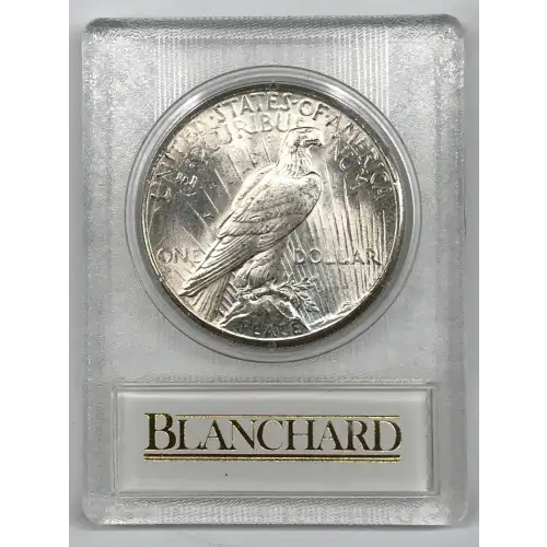 Peace Silver Dollar (6)