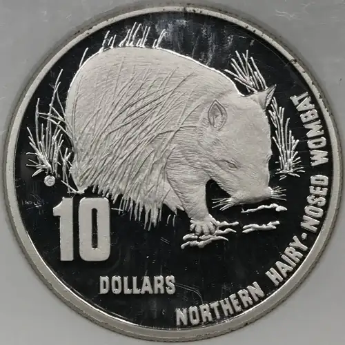 Silver (COIN) (any weight)