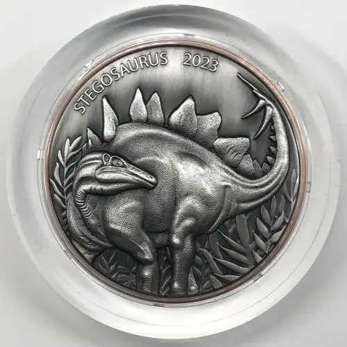 Silver (COIN) (any weight) (2)
