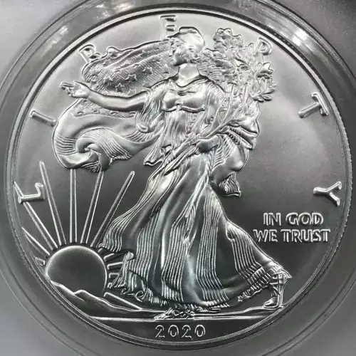 Silver Eagles (2)