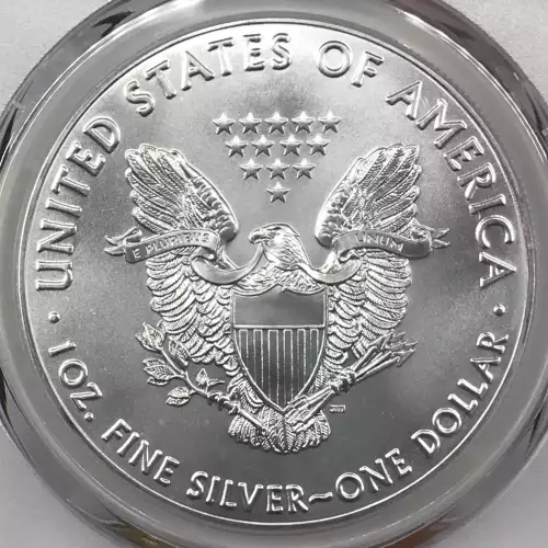 Silver Eagles (3)