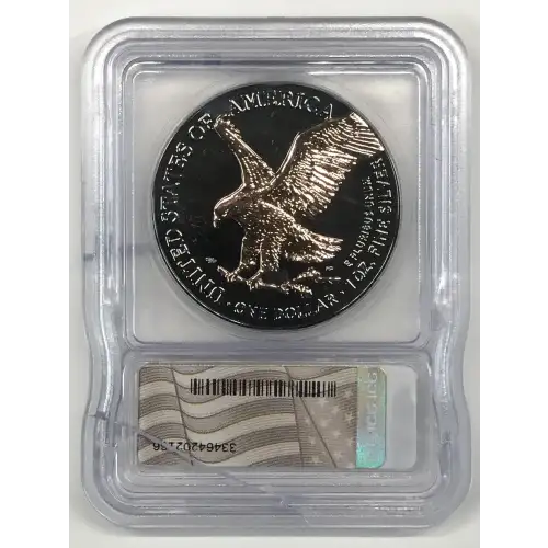 Silver Eagles (2)