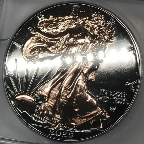 Silver Eagles (4)