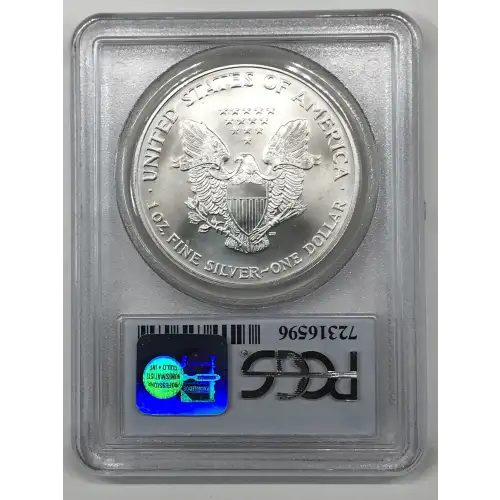 Silver Eagles (2)