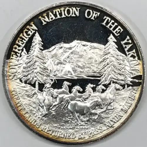 Silver (ROUND) (any weight)