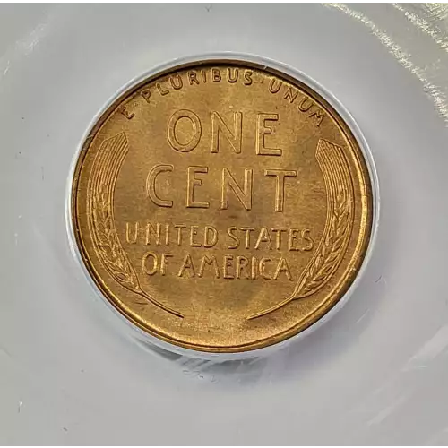 Small Cents-Indian Head 1859-1909 -Copper (4)