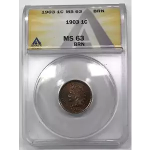 Small Cents-Indian Head 1859-1909 -Copper (2)