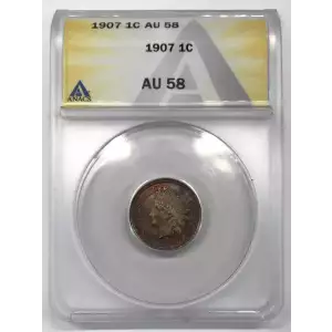 Small Cents-Indian Head 1859-1909 -Copper (5)