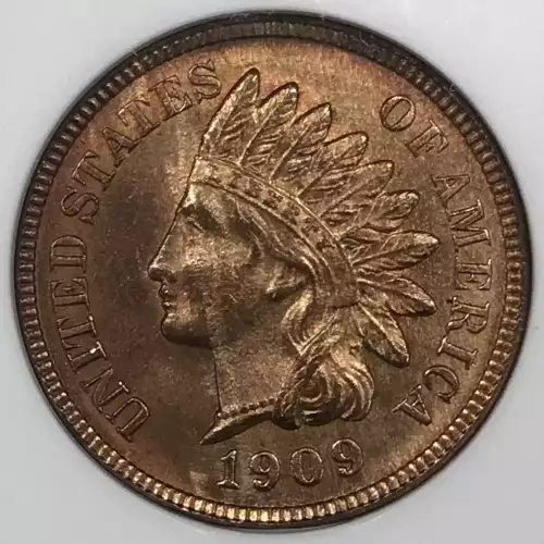 Small Cents-Indian Head 1859-1909 -Copper (5)