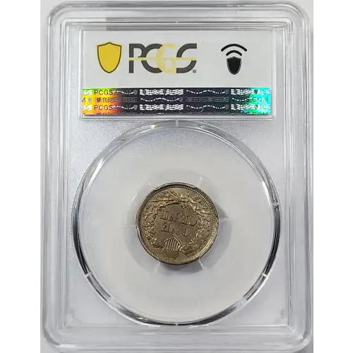 Small Cents-Indian Head 1859-1909 -Copper (3)