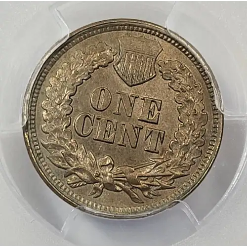 Small Cents-Indian Head 1859-1909 -Copper (4)