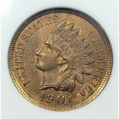 Small Cents-Indian Head 1859-1909 -Copper (2)