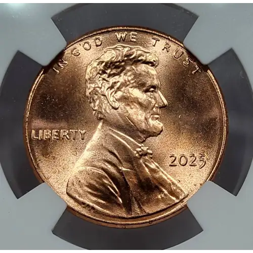 Small Cents-Lincoln, Shield Reverse 2010-Present-Copper-Plated Zinc (3)