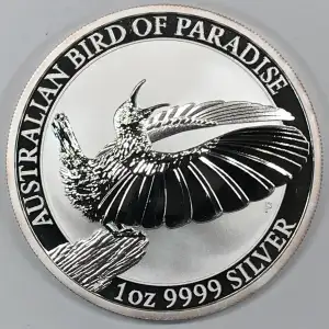 1 oz Silver (COIN)