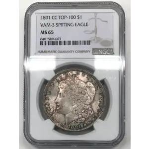 1891 CC VAM-3 SPITTING EAGLE (4)