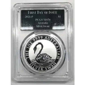 1 oz Silver (COIN) (2)