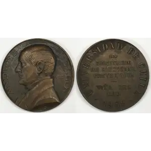 Medal (generic) [country: UNKNOWN][eBay category Exonumia Medals: 3454]