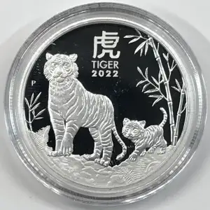 1/2 oz Silver (COIN)