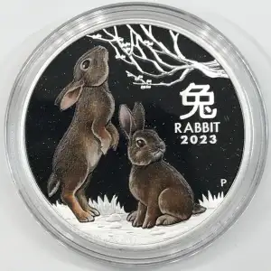 1 oz Silver (COIN)
