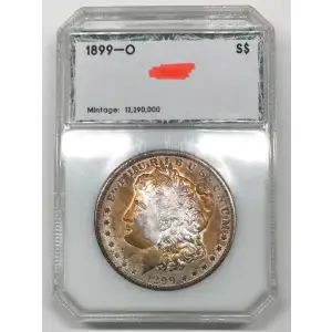 Morgan Silver Dollar