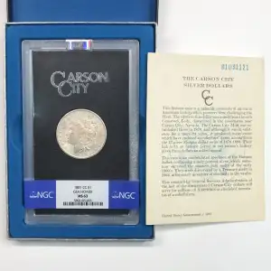 1881 GSA HOARD (6)