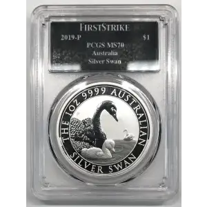 1 oz Silver (COIN)