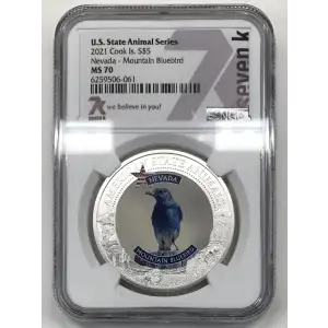 1 oz Silver (COIN)