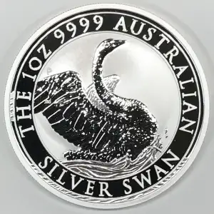 1 oz Silver (COIN)
