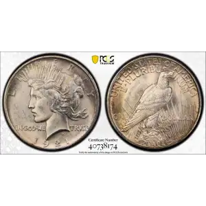 1921 $1 VAM 1F, Polishing Lines Peace ELITE 30