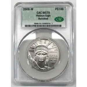 2008-W Burnished Platinum Eagle P$100 (3)