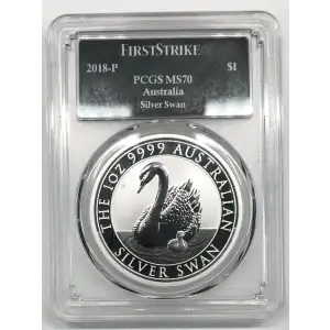 1 oz Silver (COIN)