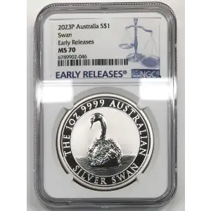 1 oz Silver (COIN)