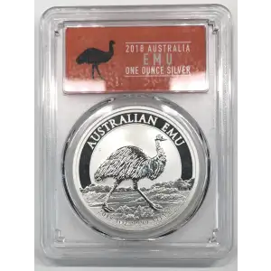 1 oz Silver (COIN) (2)