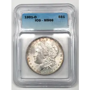 Morgan Silver Dollar (5)