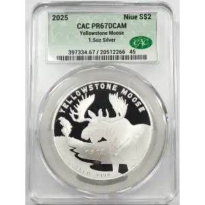 Silver (COIN) (any weight)
