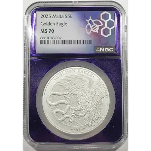 1 oz Silver (COIN)
