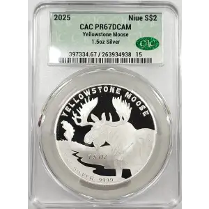 Silver (COIN) (any weight) (4)