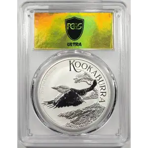 1 oz Silver (COIN)
