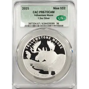 Silver (COIN) (any weight)