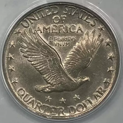 Standing Liberty Quarter Dollar (4)