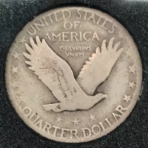 Standing Liberty Quarter Dollar (2)