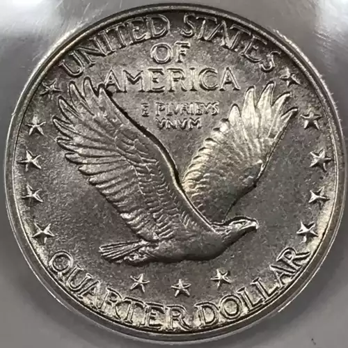 Standing Liberty Quarter Dollar (5)