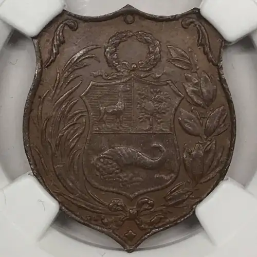 World Token (generic) [eBay category Exonumia World: 3182] (2)